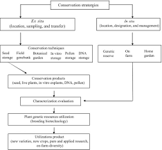 Written by an experienced master grower, this guide will help you choose the as an unregulated market, the main advantage is the selection is just massive. Ex Situ Conservation An Overview Sciencedirect Topics