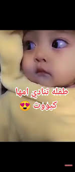 ‏كيوتت خالص