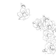Manga Flowers Black N White Images Art White Image
