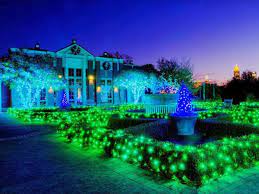 Holiday Lights Atlanta Botanical Gardens Atlanta Botanical Garden Garden Lighting Garden Of Lights
