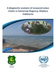 Bali, indonesia · 696 hotel tersedia. A Diagnostic Analysis Of Seaweed Value Chains In Madura Indonesia Rain Monsoon