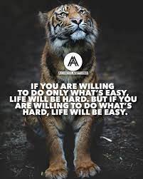 Pin On Knowledge And Wisdom