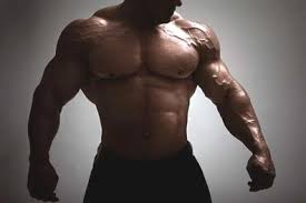 Pin On Build Muscle