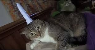Mick Foley Don T You Dare Be Sour Feel The Meow Er Yes That S Awful But This Article By Tim Kail At The Work Of Wrestling Explaining In Great Detail Why Newday Don't you dare be sour! facebook