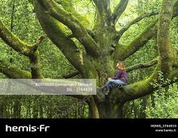 L Appel De La Foret En 2020 Foret De Broceliande Ille Et Vilaine Foret