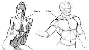 Form description for drawing of the two major surface muscles of the back. How To Draw Upper Back Muscles Form Proko