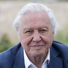 Sir David Attenborough has just announced his new documentary Ocean. Find  out where to watch it at the link in the comments 👇️