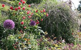 So Legen Sie Einen Bauerngarten An Pflanzen Garten Garten Pflanzen
