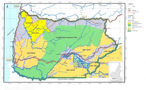 Image result for Pleioceras gilletii