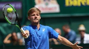 The goffin's cockatoo, also known as the tanimbar corella, is the smallest out of all white cockatoos. Rasen Tennisturnier Nach Sieg Uber Zverev Goffin Im Finale Von Halle
