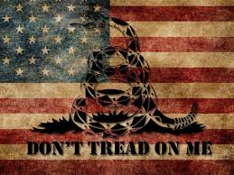 Customers who bought this item also bought. 53 Don T Tread On Me Gadsden Flags Ideas In 2021 Dont Tread On Me Gadsden Flag Gadsden
