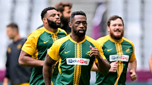 Bok Nerves? Why SA Rugby Fans Are Sweating the Wallabies Clash! - Imagen principal del artículo