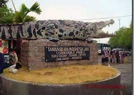 Tentu saja kabupaten bekasi memiliki banyak sekali keunikan baik dari budaya, suku, satwa, tempat, dan banyak lagi lainnya. Bekasi Dan Keunikannya Blog Pati Jihan