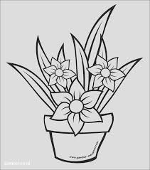 Hd wallpaper sketsa gambar taman bunga wallpaper mewarnai gambar tangkai bunga gambar mewarnai bunga png saran id. Sketsa Gambar Bunga Yang Mudah Di Warnai Kreasi Warna