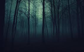 Gettysburg Woods At Night R Woahdude Night Forest Forest Wallpaper Misty Forest