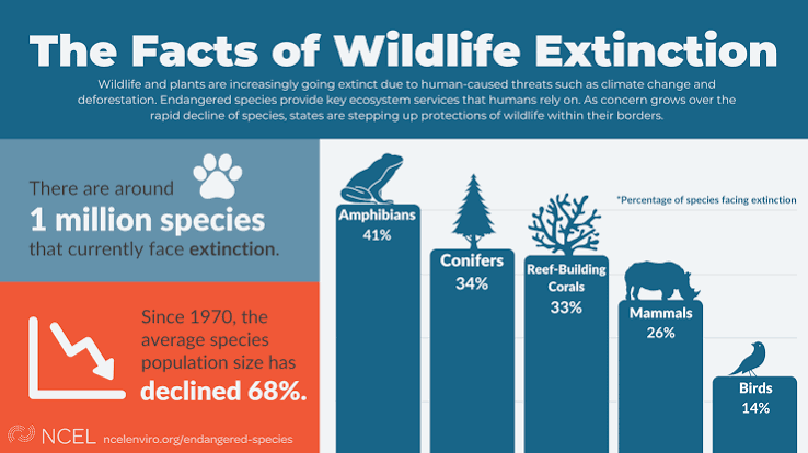The Facts of Wildlife Extinction | National Caucus of Environmental  Legislators