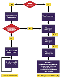 Looking for the definition of svt? Algorithms Svt