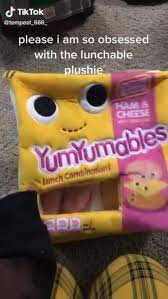 Tiktoksofthedays On Instagram Ham And Cheese Instagram Lunch Box
