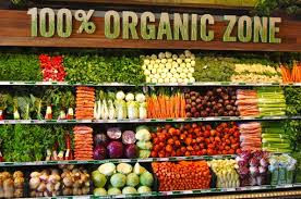 Caldwell esselstyn and john mcdougall and registered dietician jeff novick (but please note this. Whole Foods Creating An Organic Experience Technology And Operations Management