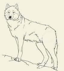How To Draw Wolf Drawing And Digital Painting Tutorials Online Free cliparts that you can download to you computer and use in your designs. how to draw wolf drawing and digital