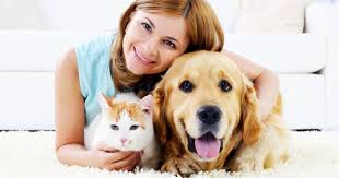 After the vet bill arrives saying you owe the first place to look for affordable and reliable healthcare for your pet is at the local vet schools. Frugal Strategies For Affordable Pet Care Tuffy Dog