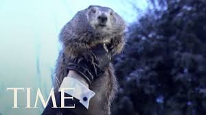 The holiday originated in north america with german immigrants (the pennsylvania dutch), and it is has european roots. Groundhog Day 2018 Punxsutawney Phil Predicts Winter Is Sticking Around Time Youtube