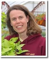 Cut and Dried Flower Farm