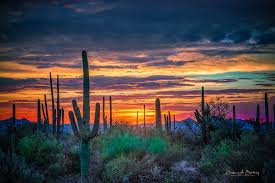 We did not find results for: Arizona Desert Sunset Wallpapers 4k Hd Arizona Desert Sunset Backgrounds On Wallpaperbat