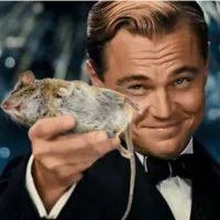 Romul (@Romul38832316)