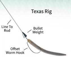Texas Rig Plastic Worms Bass Fishing Tips Bass Fishing