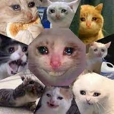 We've gathered our favorite ideas for anime boys 1080x1080 xbox profile, explore our list of popular images of anime boys 1080x1080 xbox profile and download photos collection with high resolution. Sad Cat Sadcats