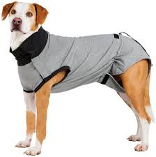 We did not find results for: Trixie Op Body Fur Hunde In Versch Grossen Otto