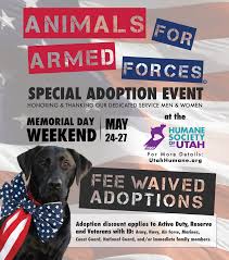 Many of the children waiting to be adopted in utah have special needs. Utah Humane Society Waives Adoption Fees For Military Members Memorial Day Weekend