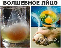 как узнать есть ли на мне порча с помощью яйца Snyatie Negativa S Cheloveka I Lecheniya Neslozhnyh Boleznej Syrym Yajcom Zdorove Psihologiya Fitoterapiya