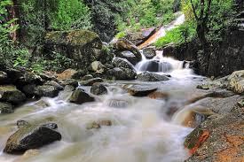 We did not find results for: Air Terjun Titi Kerawang Pulau Pinang Sirb Travel Tours