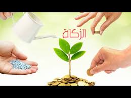 عدّا يوم الحصاد ، فهل سنخرج الزكاة كما كان يفعل والدنا. Ø§Ù„Ø²ÙƒØ§Ø© ØªØ¹Ù„ÙŠÙ… Ø§Ù„Ø£Ø·ÙØ§Ù„ Ø§Ù„Ø²ÙƒØ§Ø© ÙˆÙ…Ø§Ù‡ÙŠ Ø´Ø±ÙˆØ· ÙˆØ¬ÙˆØ¨ Ø§Ù„Ø²ÙƒØ§Ø© Youtube