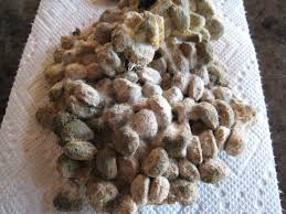 Why is my cat throwing up undigested food? Puppy Vomiting Undigested Food