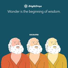 A successful man is one who can lay a firm foundation with the bricks others have thrown at him. 76 Famous Socrates Quotes About Life Knowledge And Self Growth Bright Drops