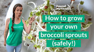 Grow broccoli sprouts in your own home! How To Grow Broccoli Sprouts
