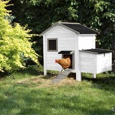 Poulailler En Bois Pompette Leroy Merlin