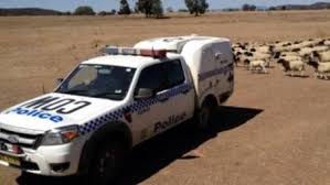 A spartanburg county man was arrested last thursday in connection to the unlawful use of a car in laurens county which resulted in damage to the vehicle. Pig Hunters Believed To Be Behind Rural Malicious Damage In Bundarra The Northern Daily Leader Tamworth Nsw