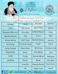 Cuttlefish are intelligent and make fascinating pets for advanced aquarists. Octopus Halal Or Haram Hanafi