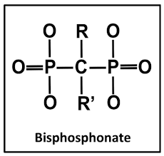 Image result for Bisphosphonates