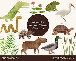 Wetlands Animals Watercolor Clipart Cute Swamp Animals Etsy In 2021 Watercolor Animals Watercolor Clipart Clip Art