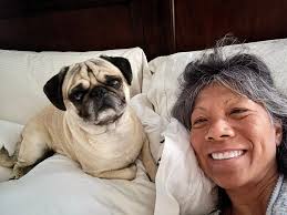 Merry Christmas pug lovers! Love Santa and his very cute reindeer Reggie 💙  🎄 🎅🏽 ✨