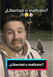 Obediencia Canina: ¿Libertad o Maltrato?