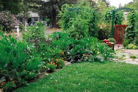 Townhouse landscape design is tough, because you generally don't have a lot of space to work with. Edible Garden Landscape Design Ideas Productive Landscapingonline Garden Design