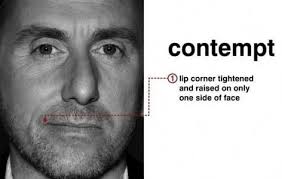 Facial Expression Pictures Chart Facial Movements Imotions