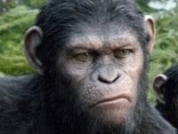Archetypes: Film: Review: 'Dawn of the Planet of the Apes' (2014)