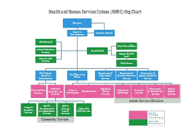 hhsc org chart edraw